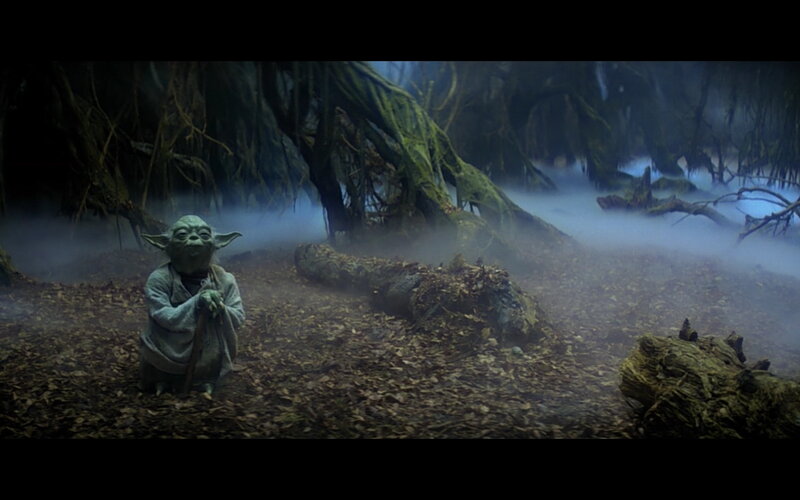Yoda in a misty forest