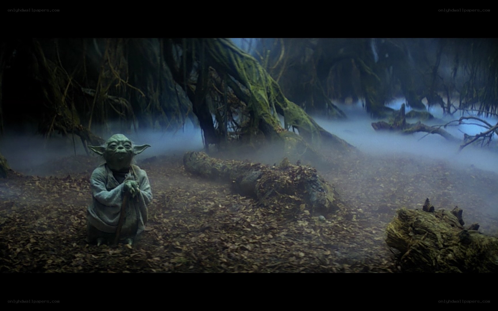 Yoda in a misty forest