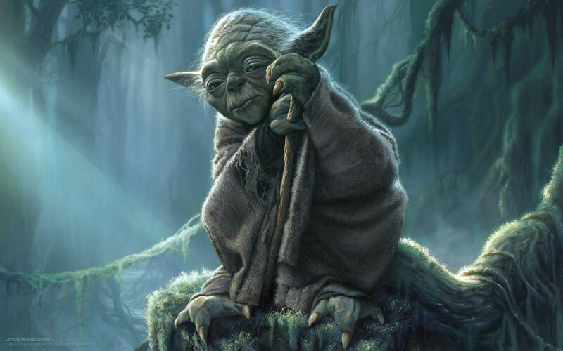 Yoda in Forest