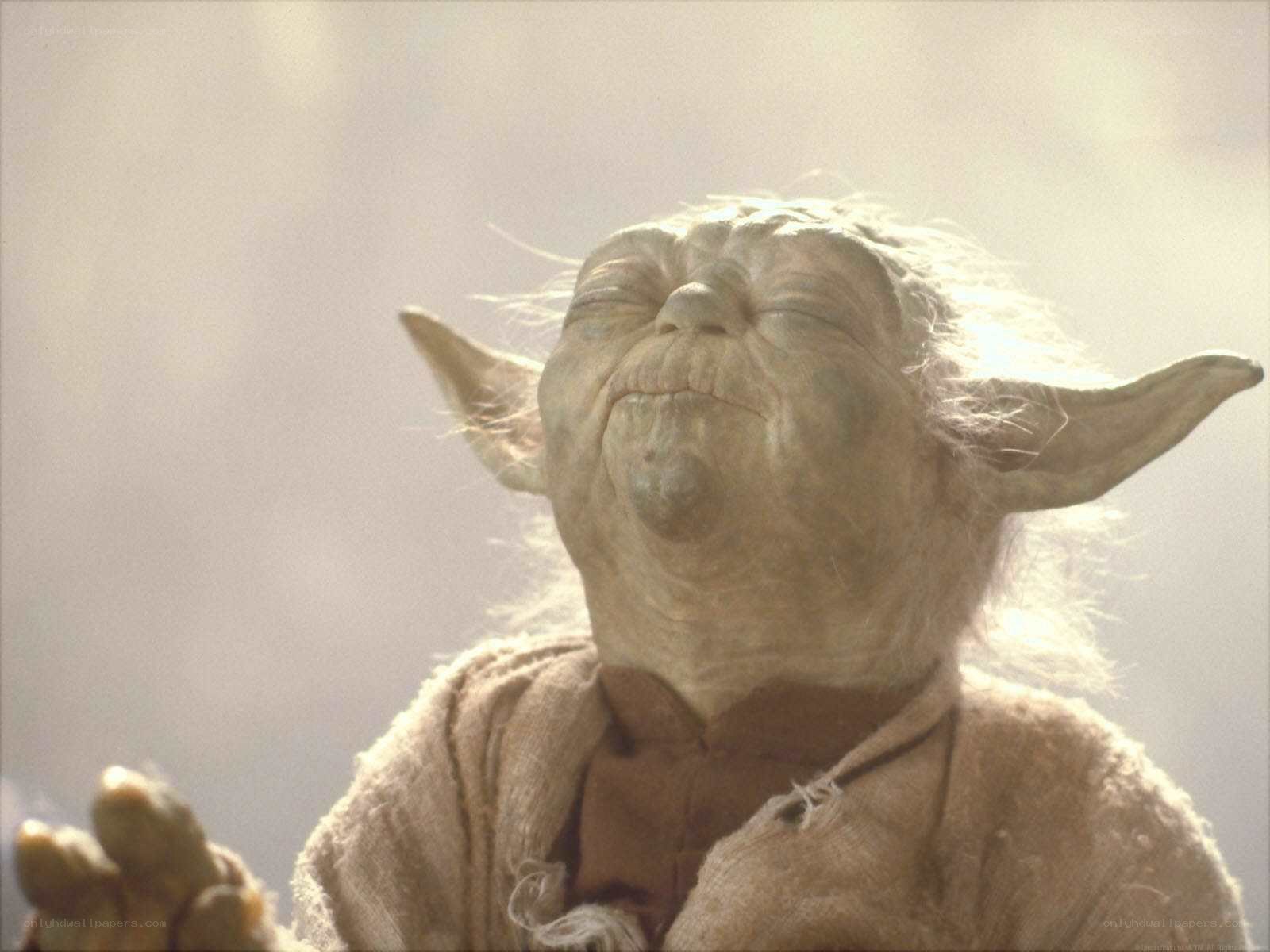 Yoda in peaceful contemplation