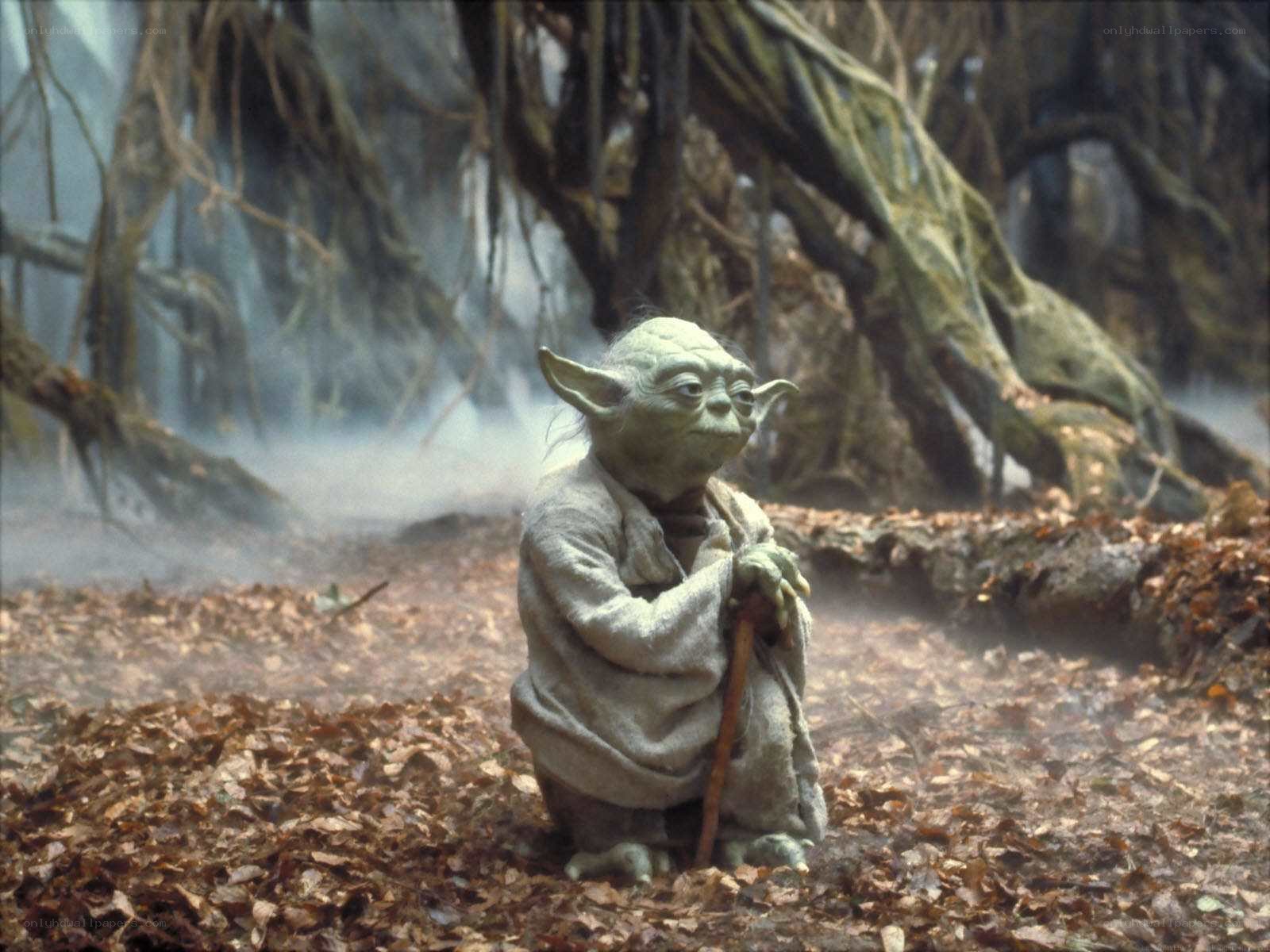 Yoda on a forest planet
