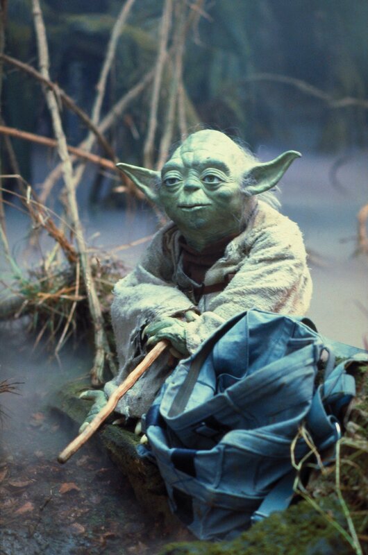 Yoda on a swampy planet