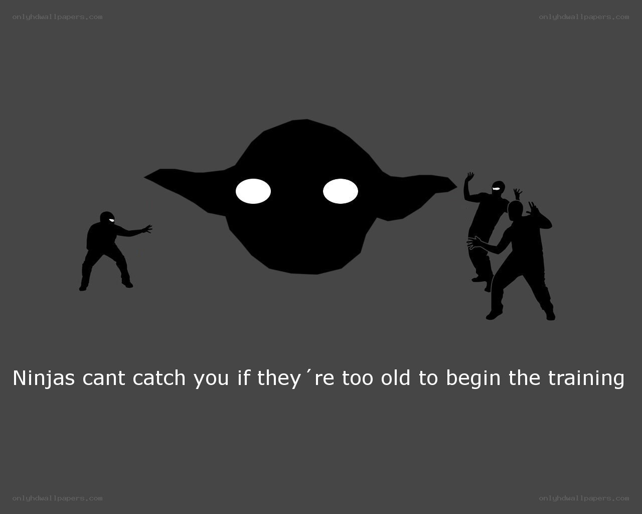 Yoda vs ninjas