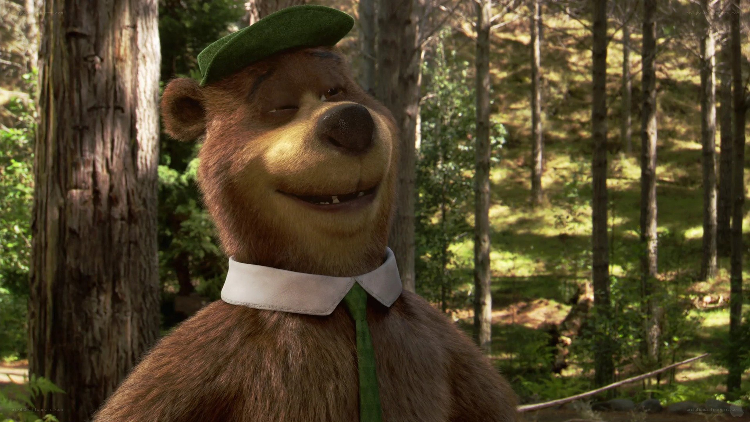Yogi Bear in the forest