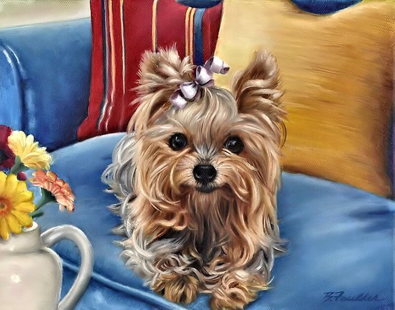 Yorkie Dog on Couch