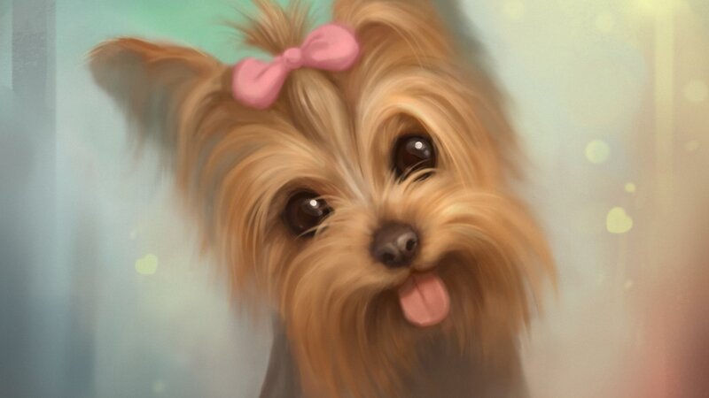 Yorkie Puppy with Bow — Brown