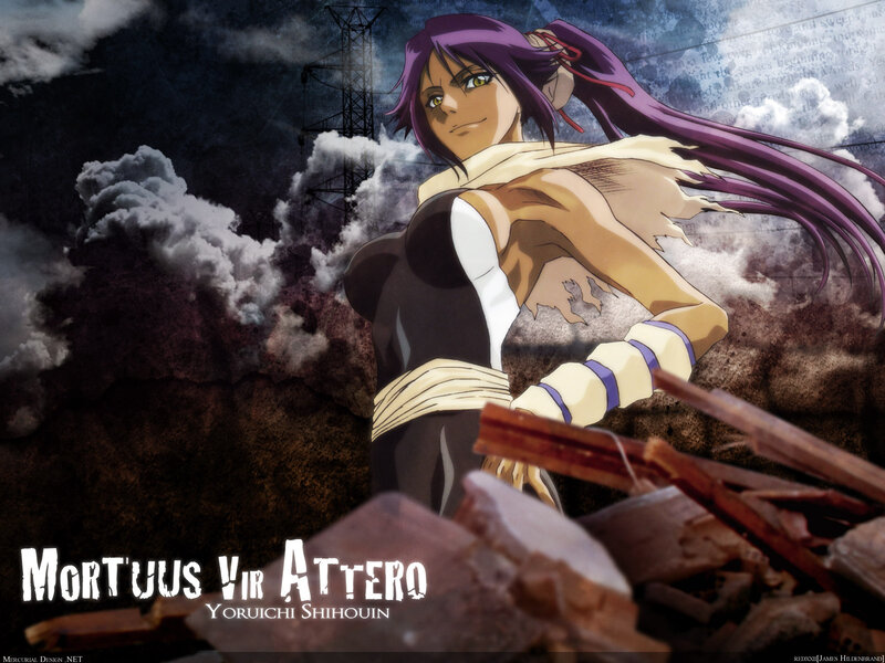 Yoruichi Shihoin in battle