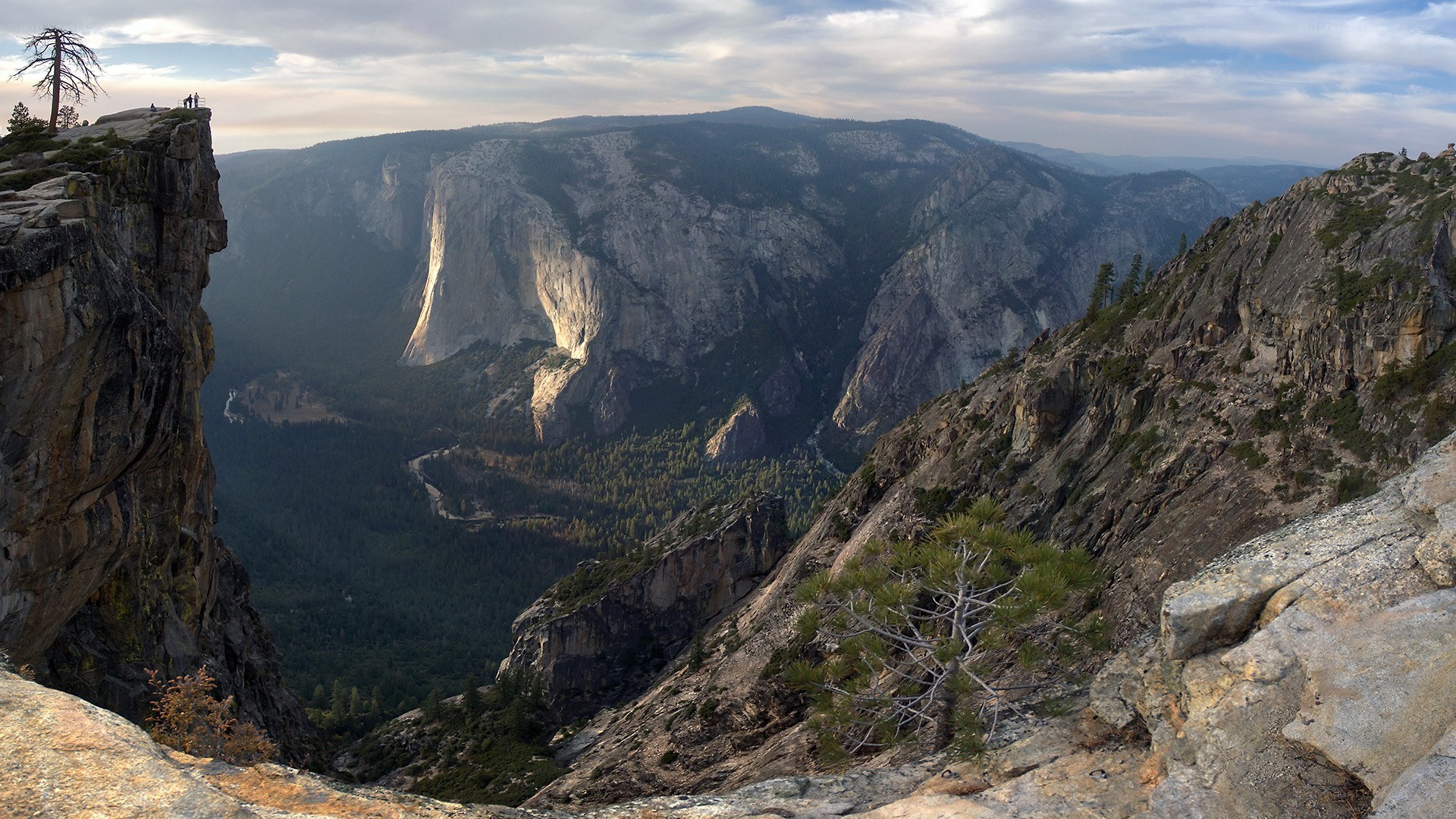 Yosemite cliff overlook