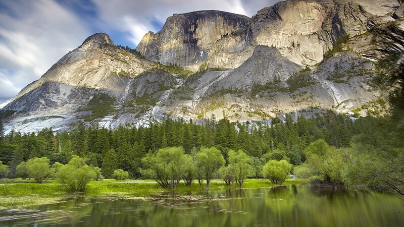 Yosemite Cliffs and Meadow