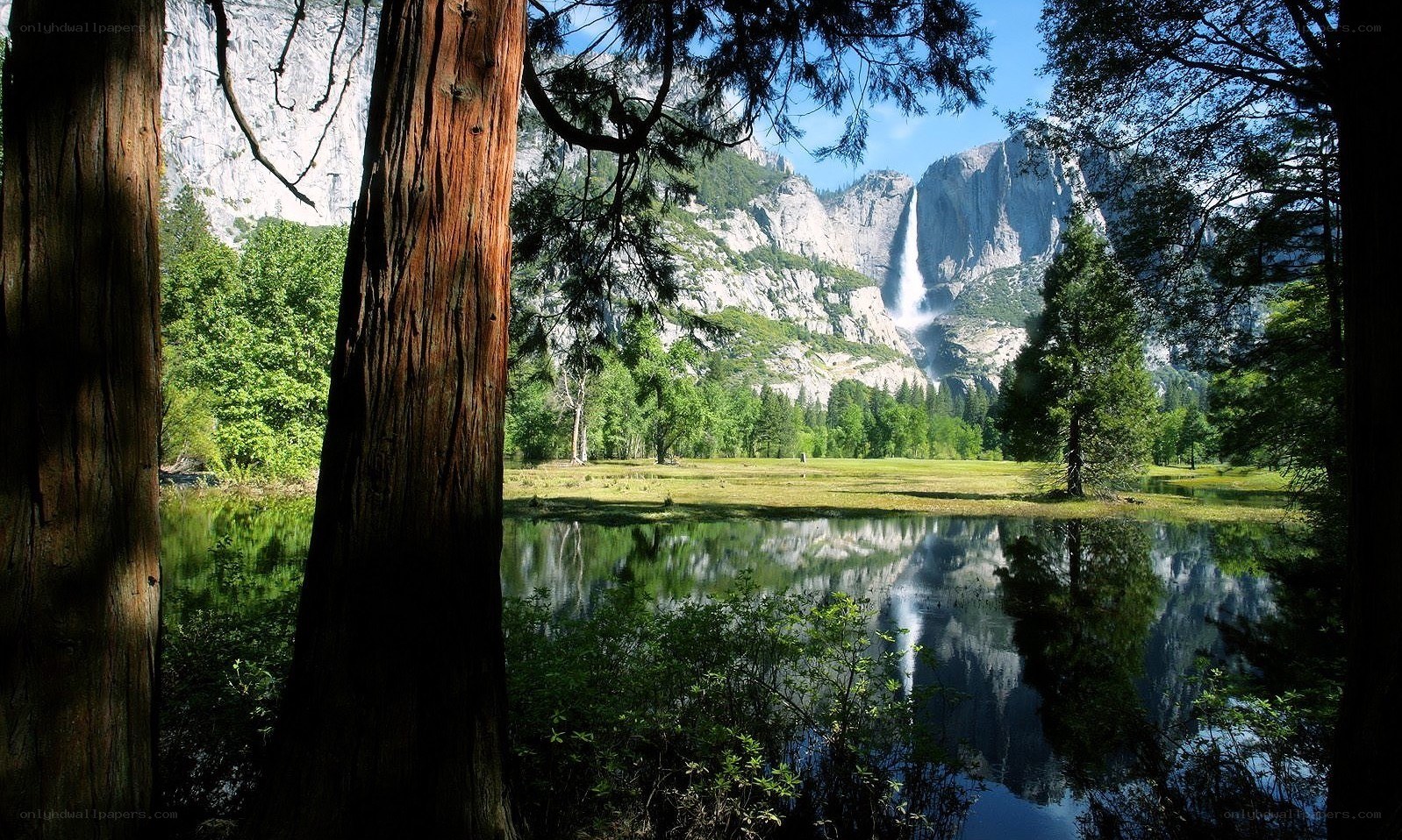 Yosemite Falls and meadow