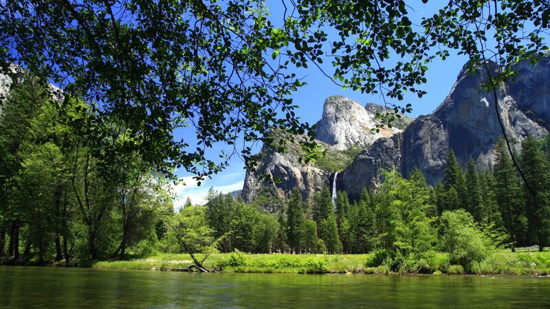 Yosemite Falls and River — Green, Serene, Summer