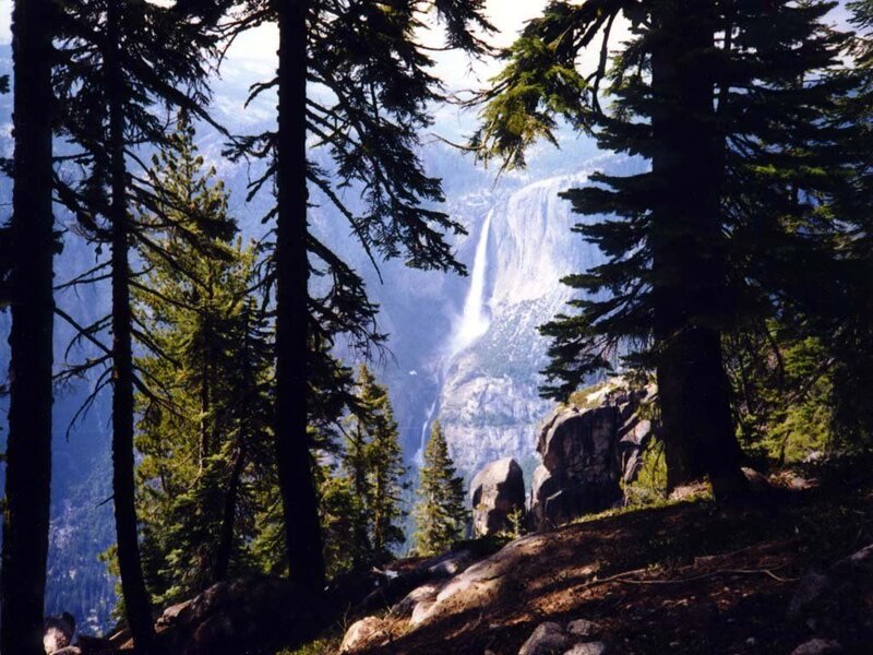 Yosemite Falls from Forest — Green