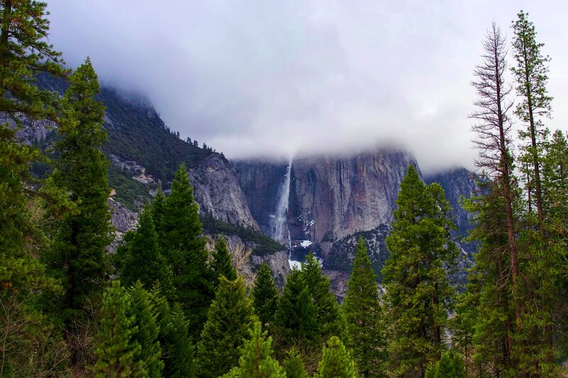 Yosemite Falls — Green, Misty