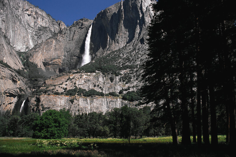 Yosemite Falls — Green, Serene, Afternoon, Photograph, Mountain, Forest, Meadow