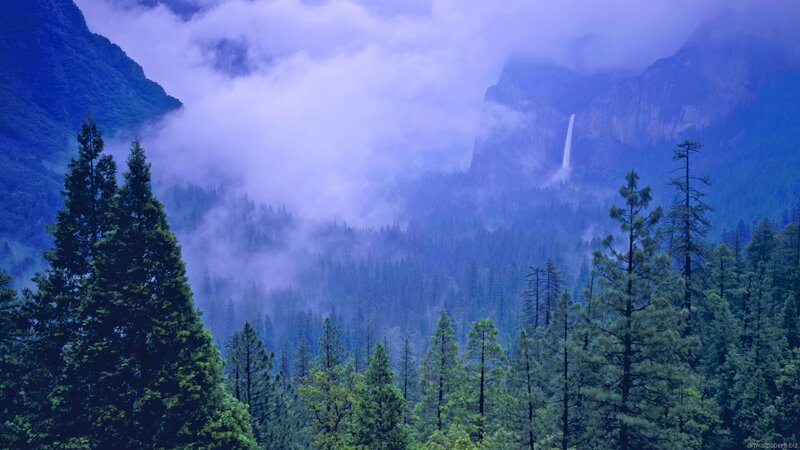 Yosemite Falls in Fog