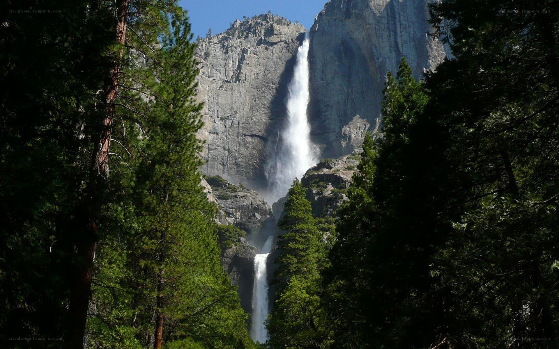 Yosemite Falls in forest