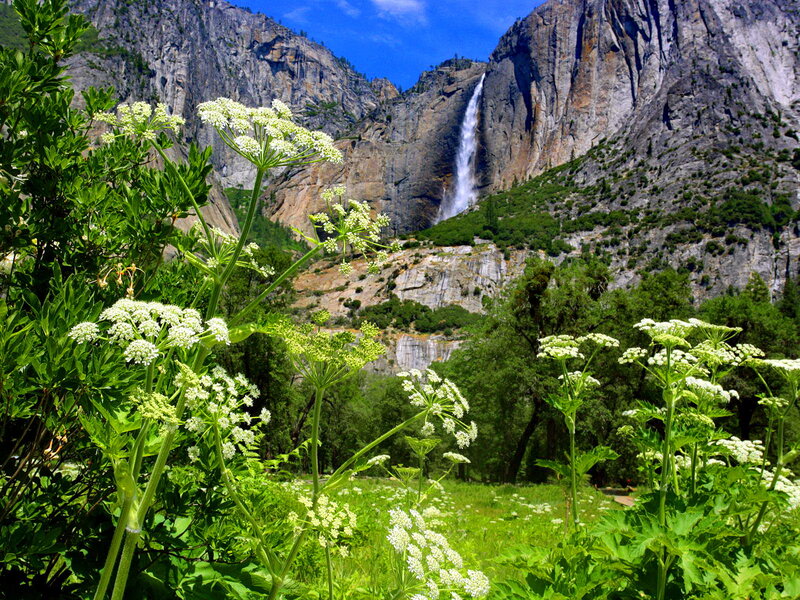 Yosemite Falls in Spring — Green