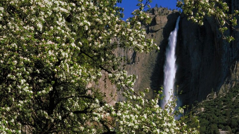 Yosemite Falls in Spring — White