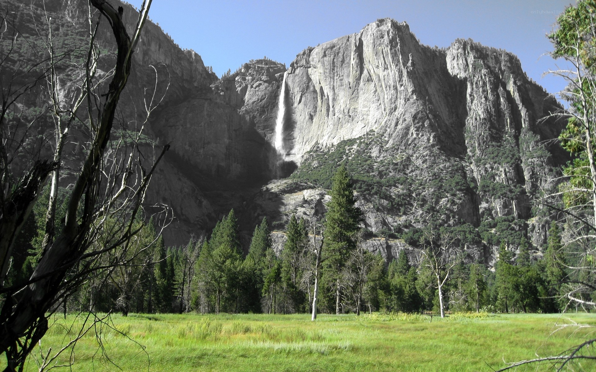 Yosemite Falls in summer