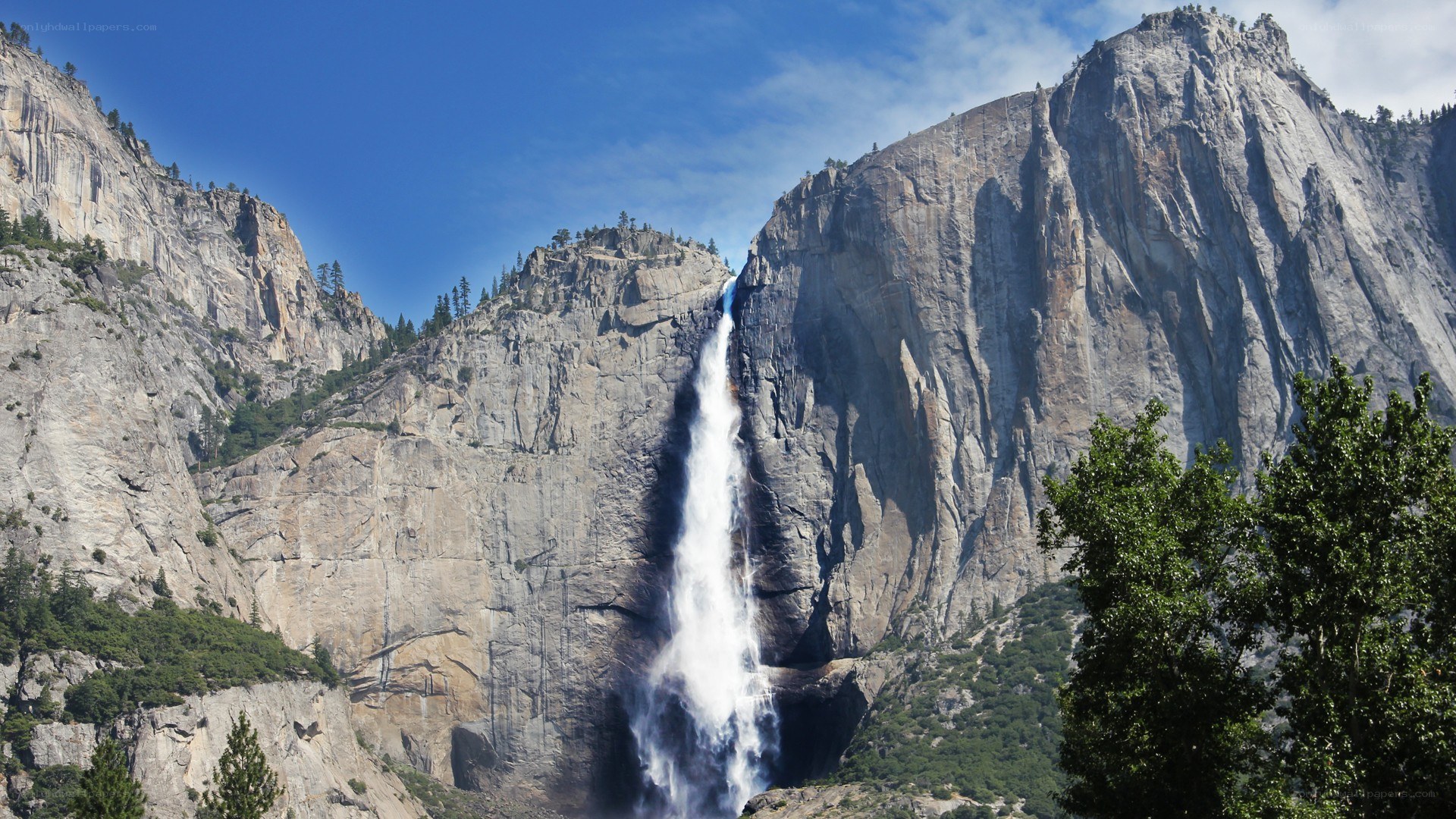 Yosemite Falls in summer