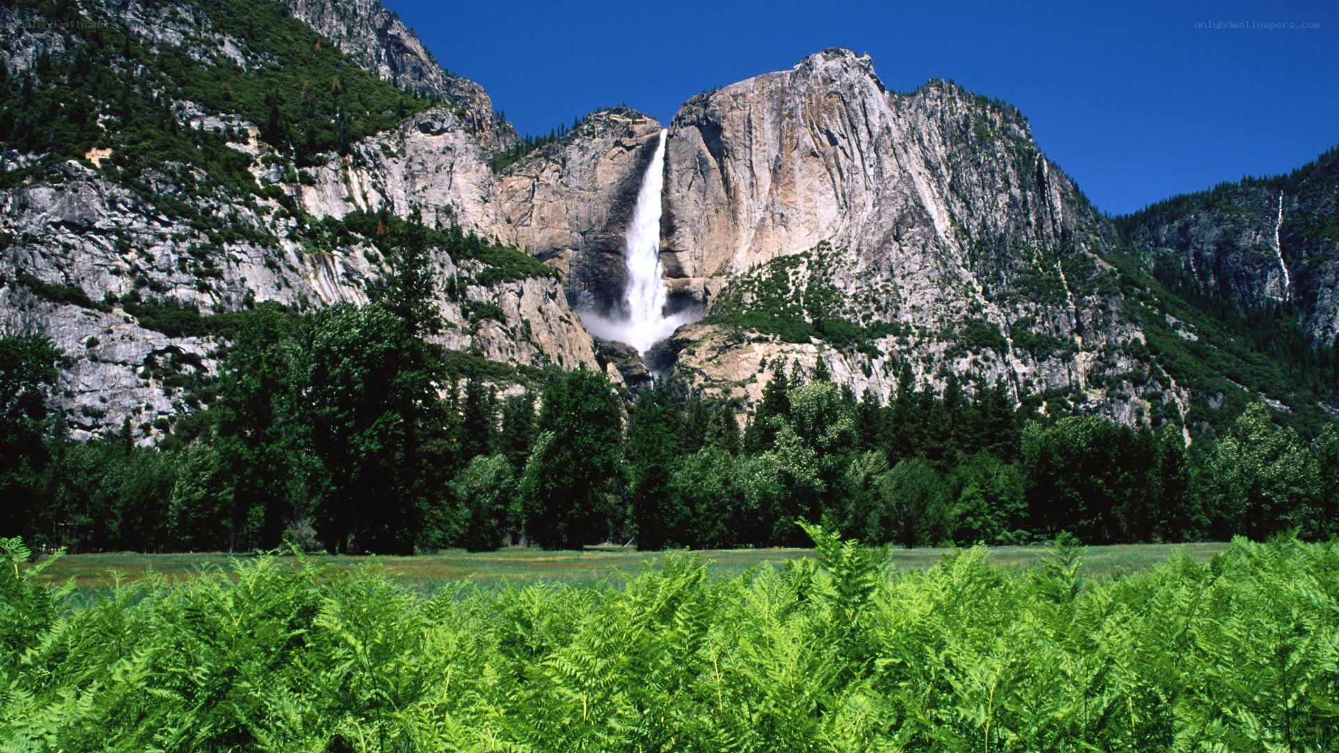 Yosemite Falls in summer