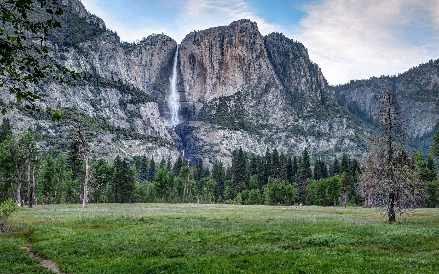 Yosemite Falls in summer