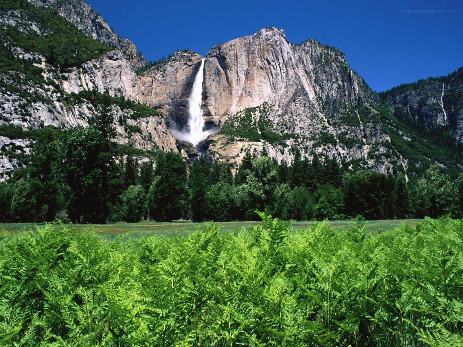 Yosemite Falls in summer
