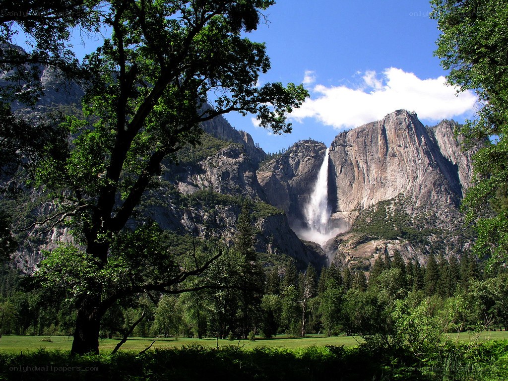 Yosemite Falls in summer