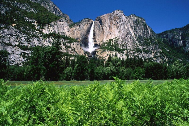 Yosemite Falls in summer