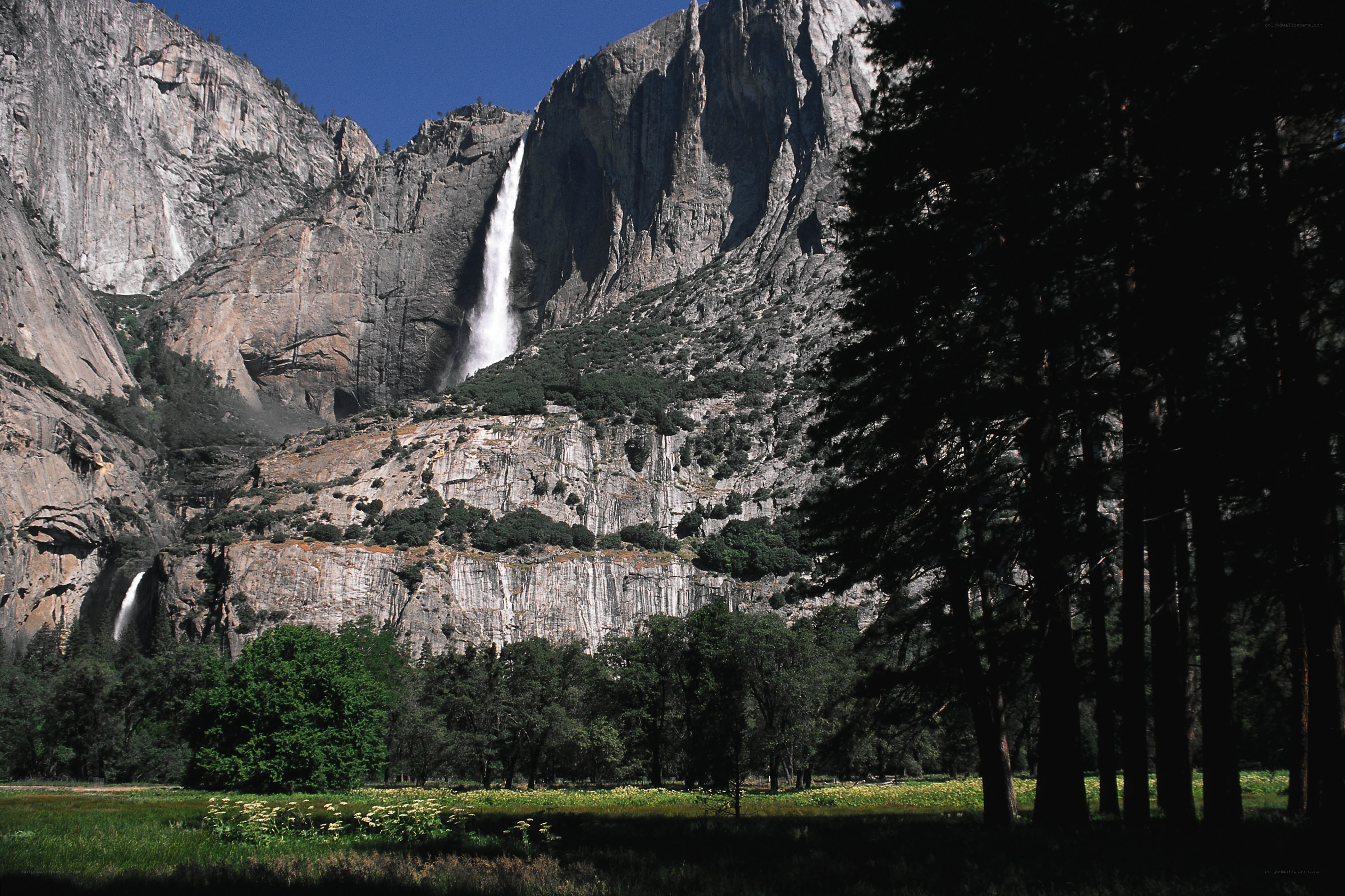 Yosemite Falls in summer