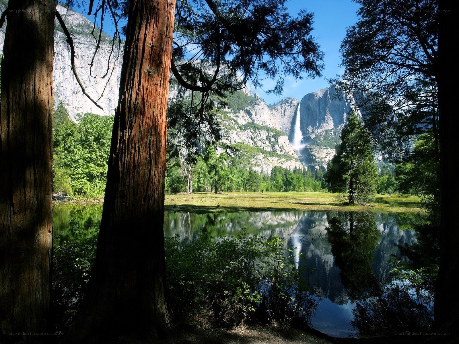 Yosemite Falls in summer