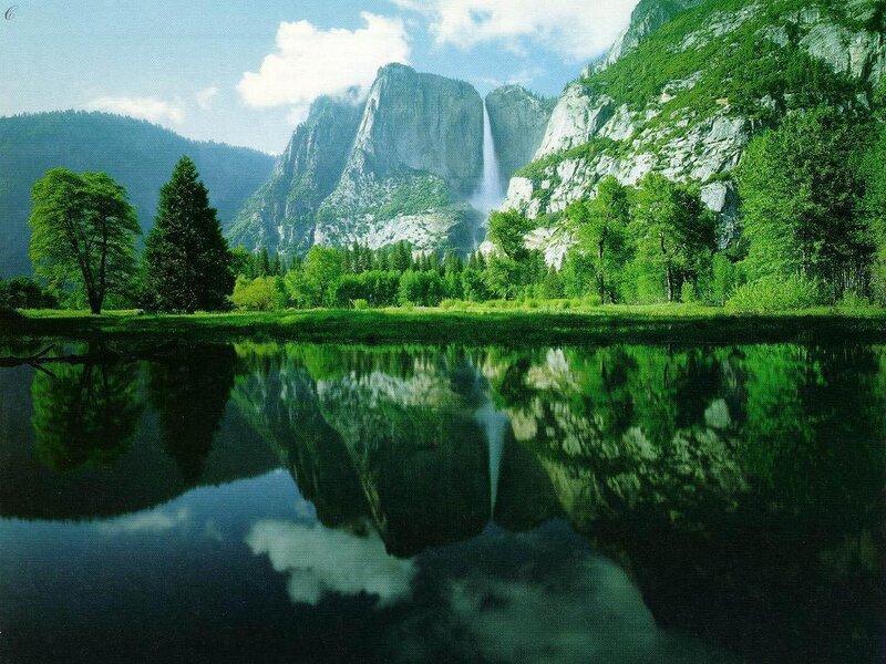Yosemite Falls Reflection — Green, Serene, Afternoon, Photograph, Mountain, Tree