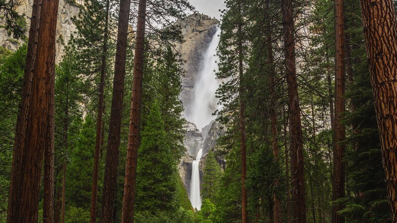 Yosemite Falls Through Trees
