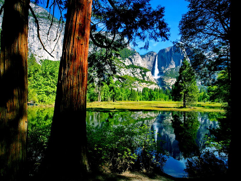Yosemite Falls View