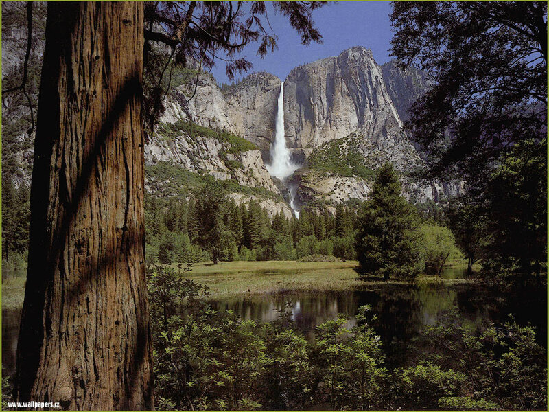 Yosemite Falls Waterfall — Green, Serene, Afternoon
