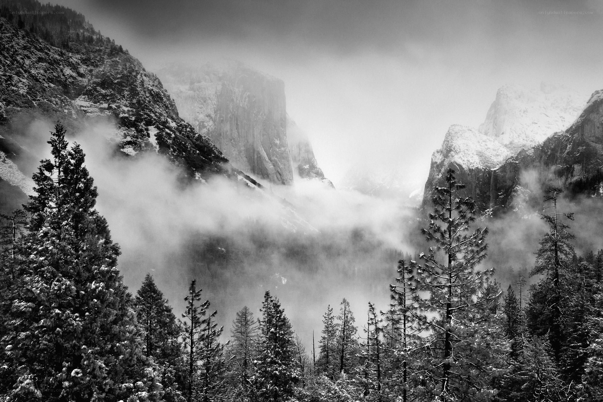 Yosemite in winter mist