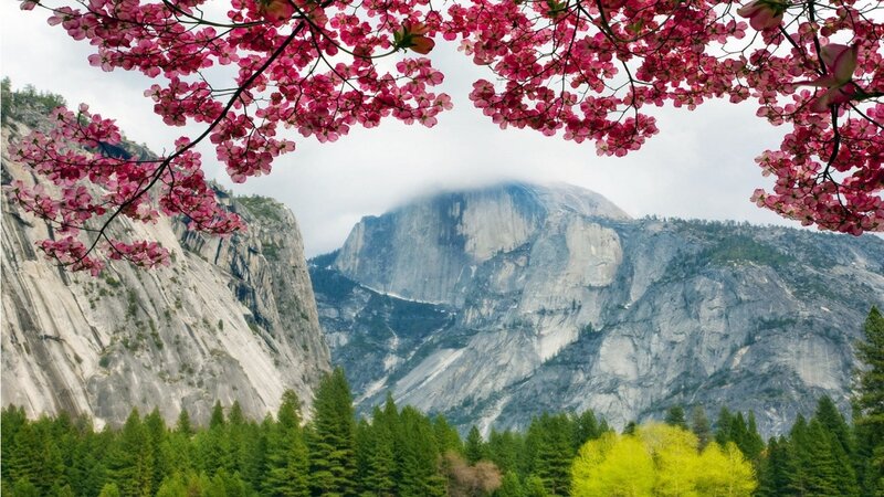 Yosemite Mountain View