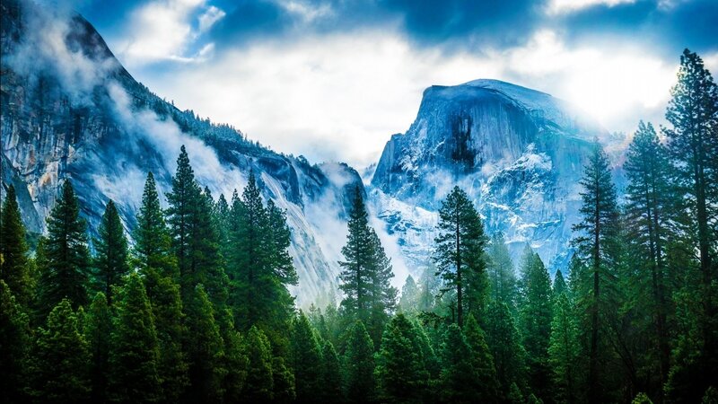 Yosemite National Park — Green, Dramatic, Morning