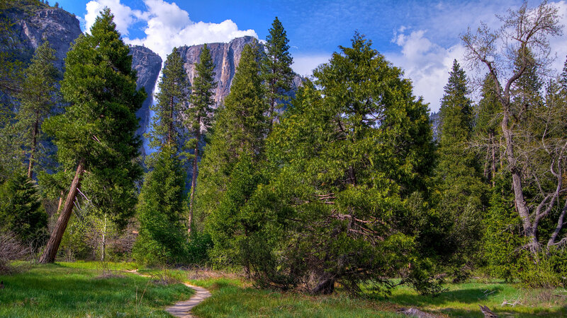 Yosemite National Park — Green, Serene, Afternoon, Photograph