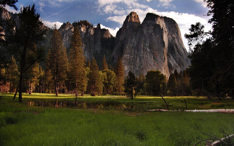 Yosemite National Park — Green