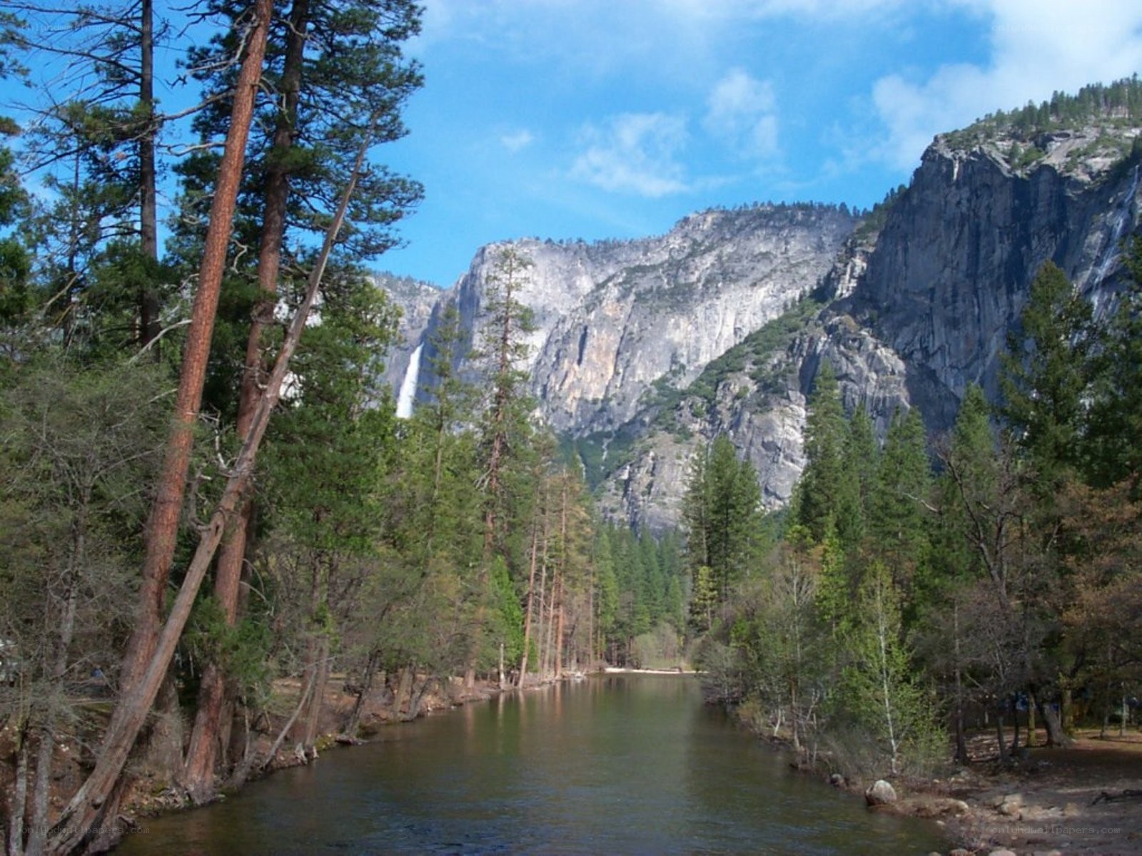 Yosemite National Park landscape