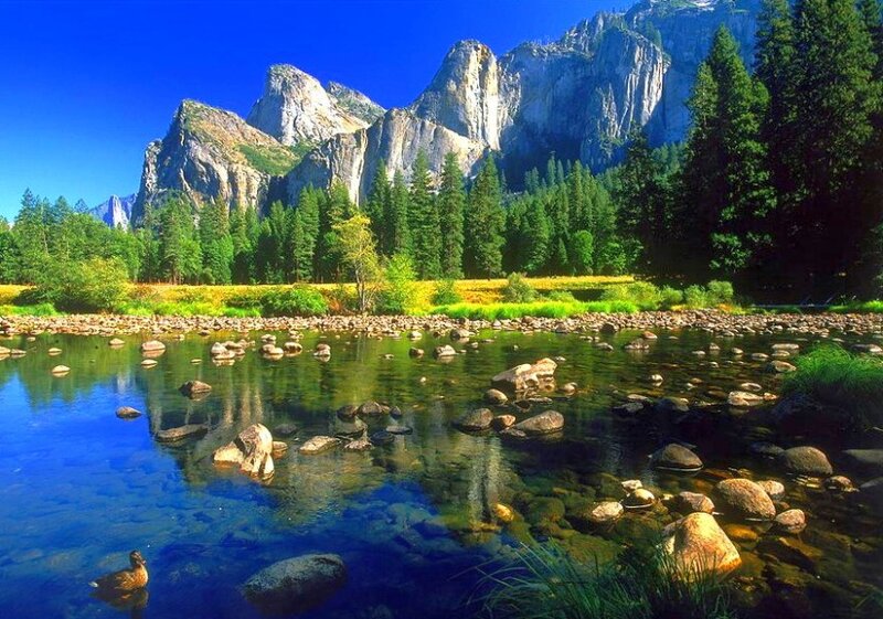 Yosemite National Park landscape
