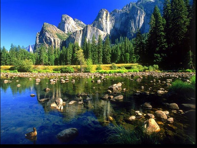 Yosemite National Park landscape
