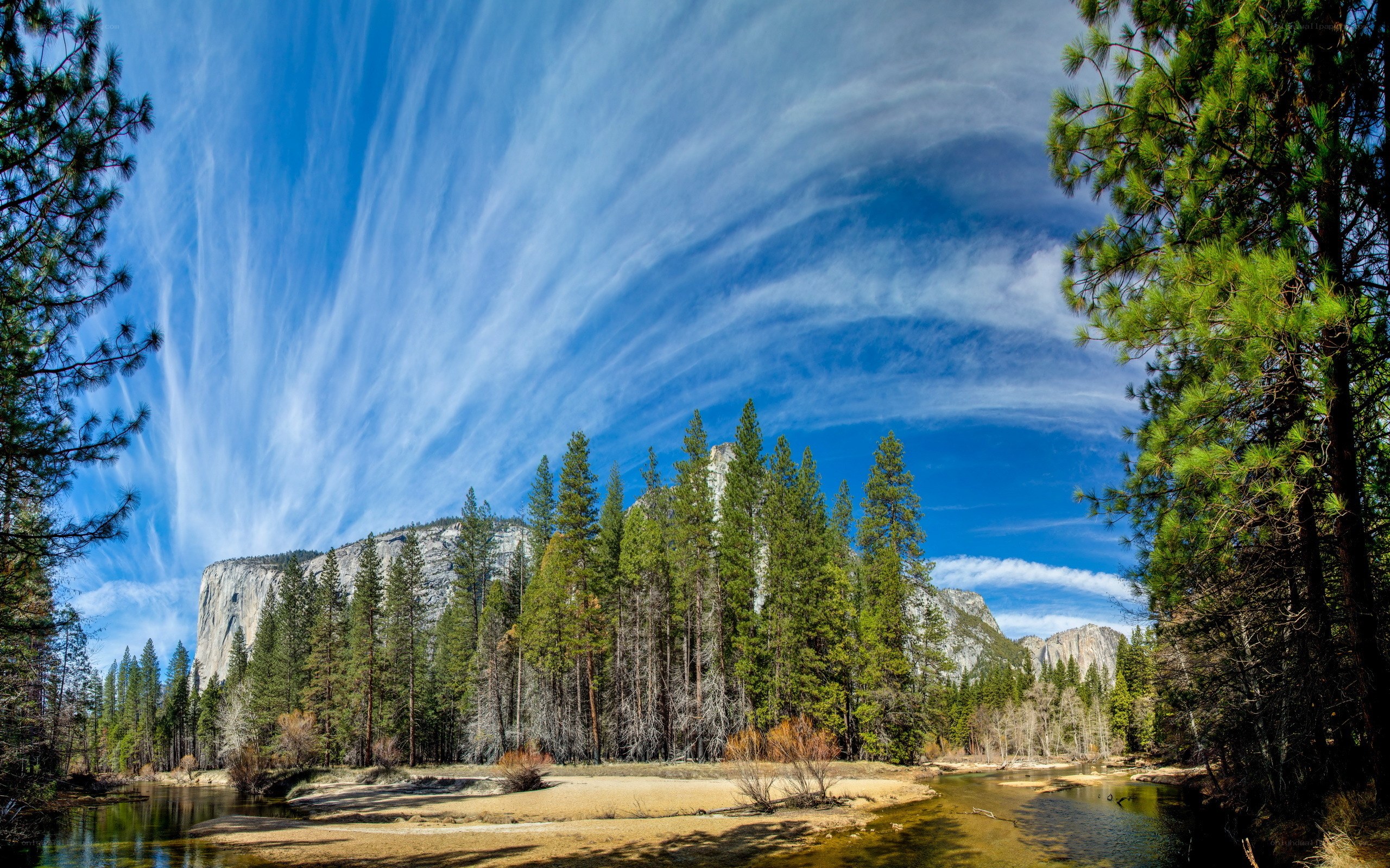 Yosemite National Park landscape