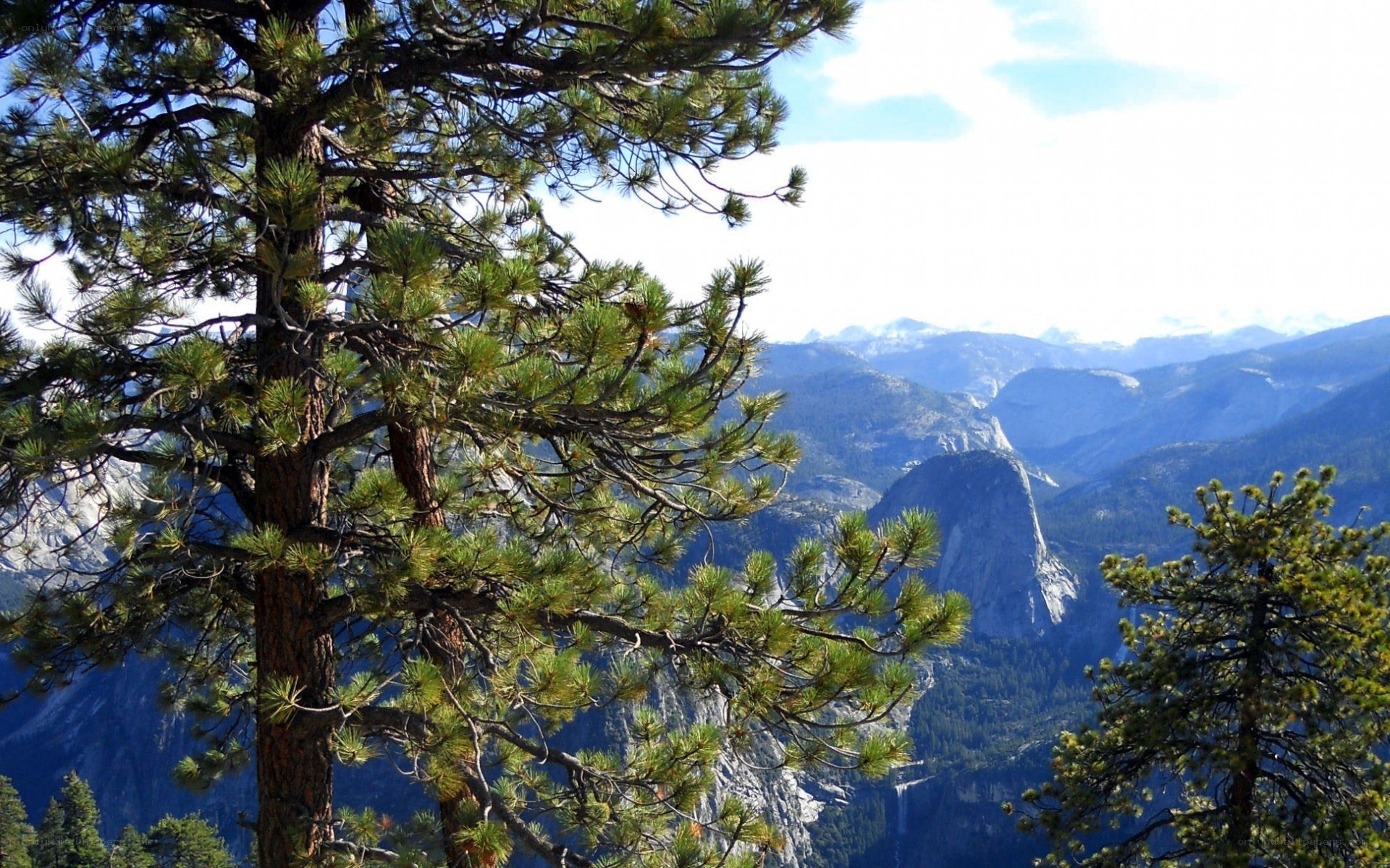 Yosemite National Park view