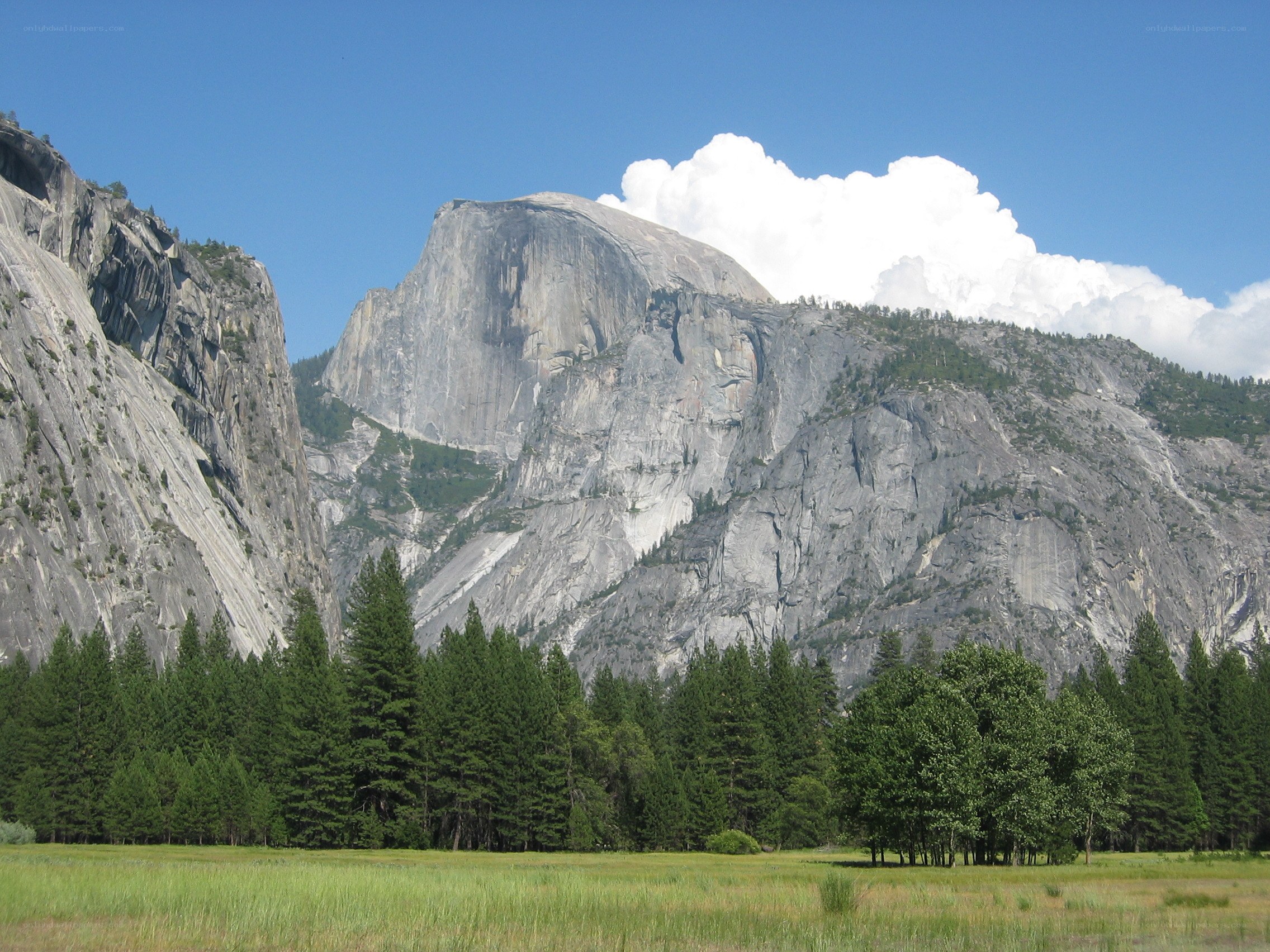 Yosemite's Half Dome