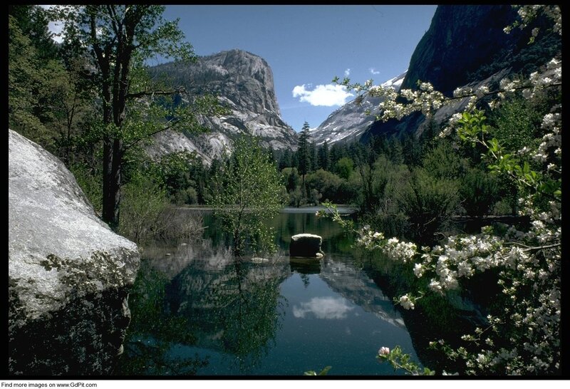 Yosemite spring landscape