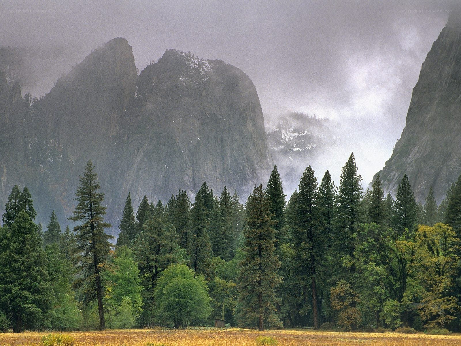 Yosemite Valley in mist