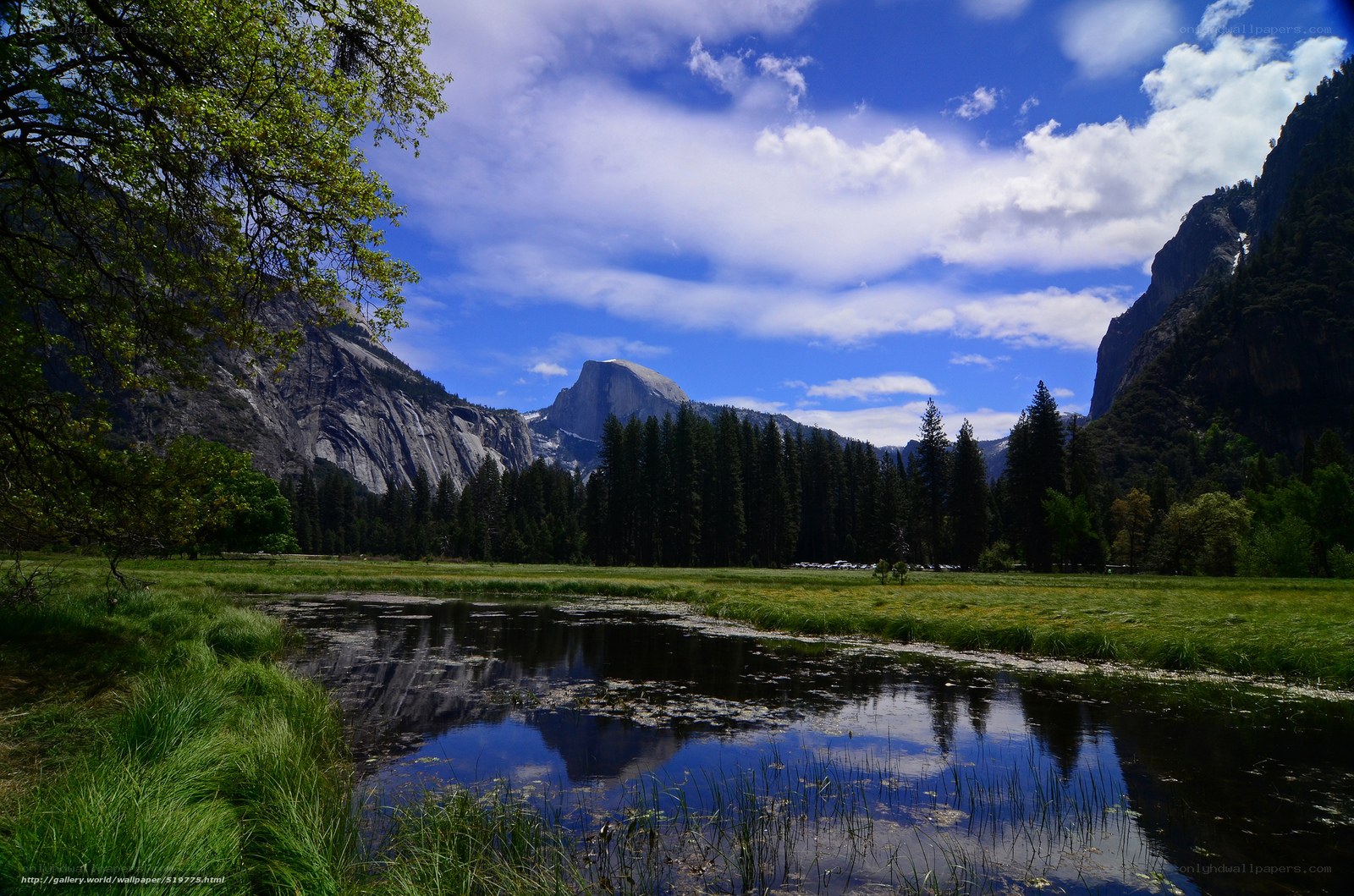 Yosemite Valley landscape