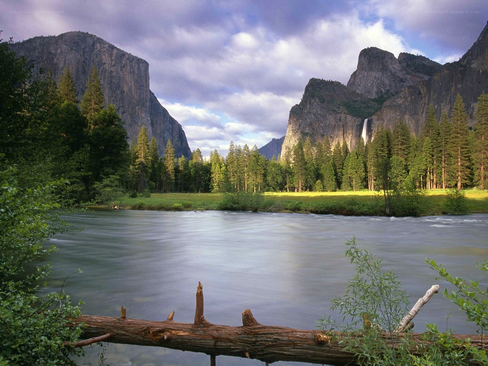 Yosemite Valley landscape